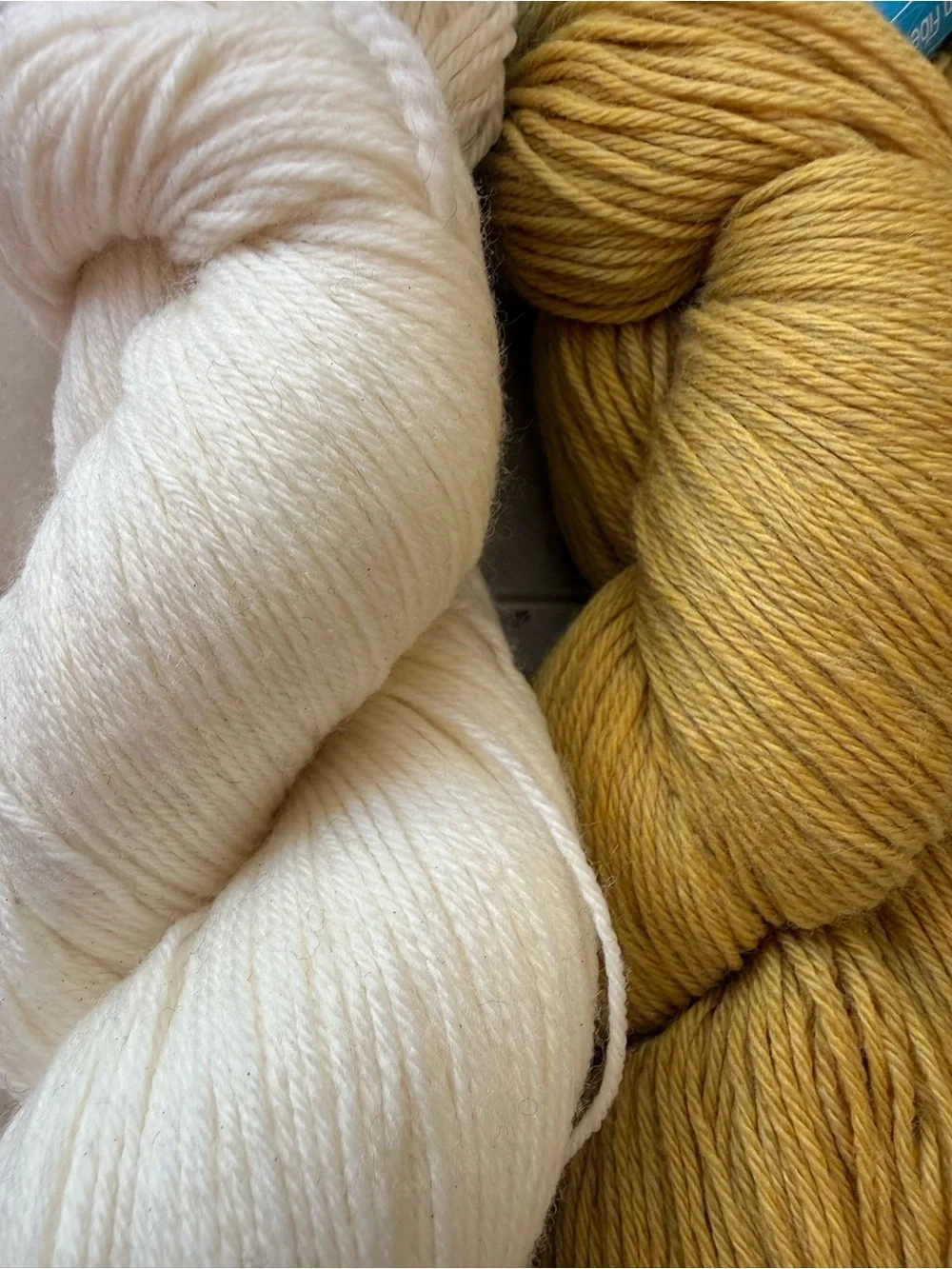Cloudborn Fibers Merino Superwash Sock Twist Yarn - Ecru & Maize Heather